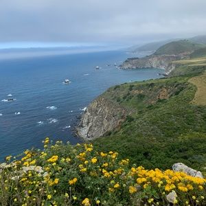 Meet your Posher, Liam